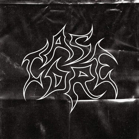 Логотип для інста-магизину кастомних чохлів на телефони @casecore.ua